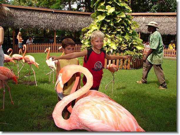 Click for the original image